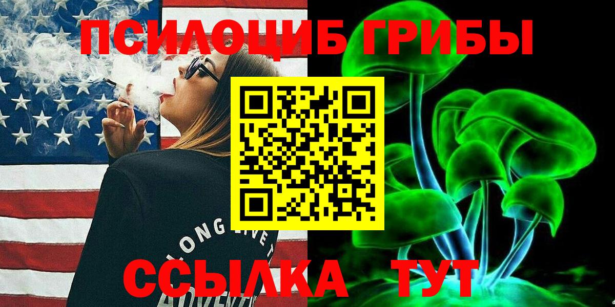 где купить наркоту  Псилоцибиновые грибы прущие грибы  Галлюциногенные грибы Cubensis  Вход с VPN  Сланцы 