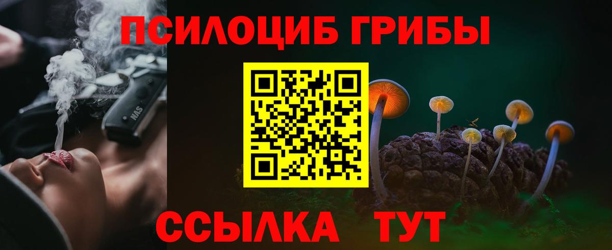 Псилоцибиновые грибы Magic Shrooms Сланцы
