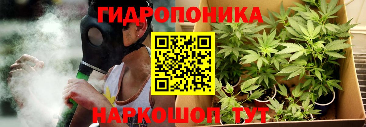Бошки марихуана индика Сланцы